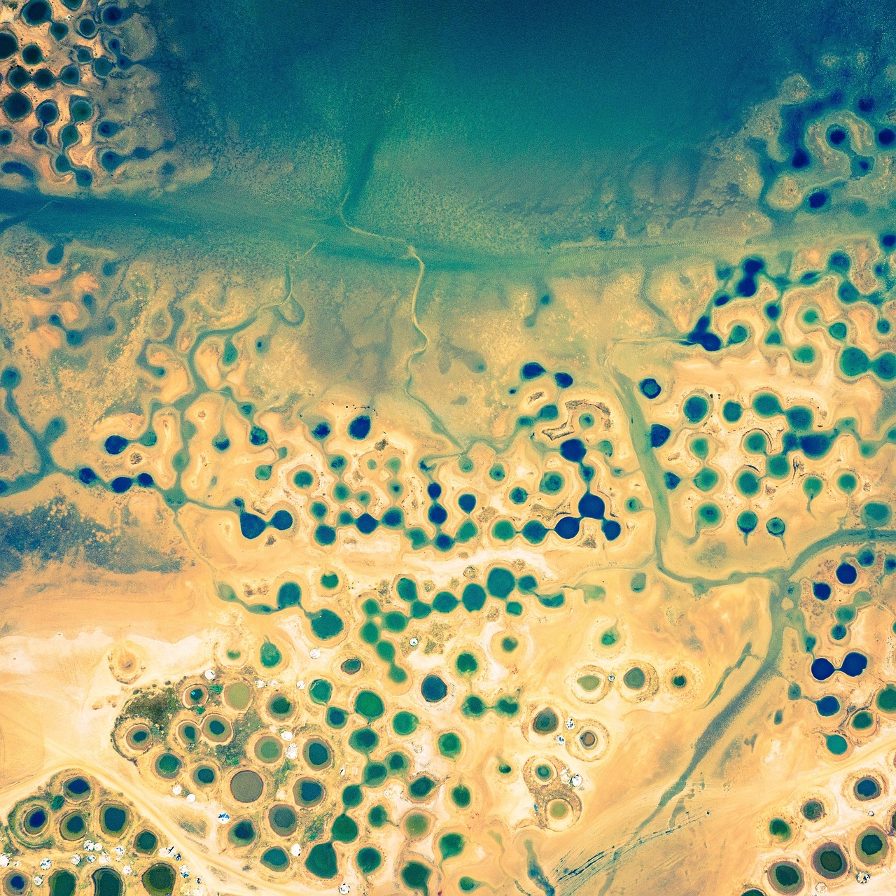 Vue aérienne de zones humides et de bassins salins au Sénégal