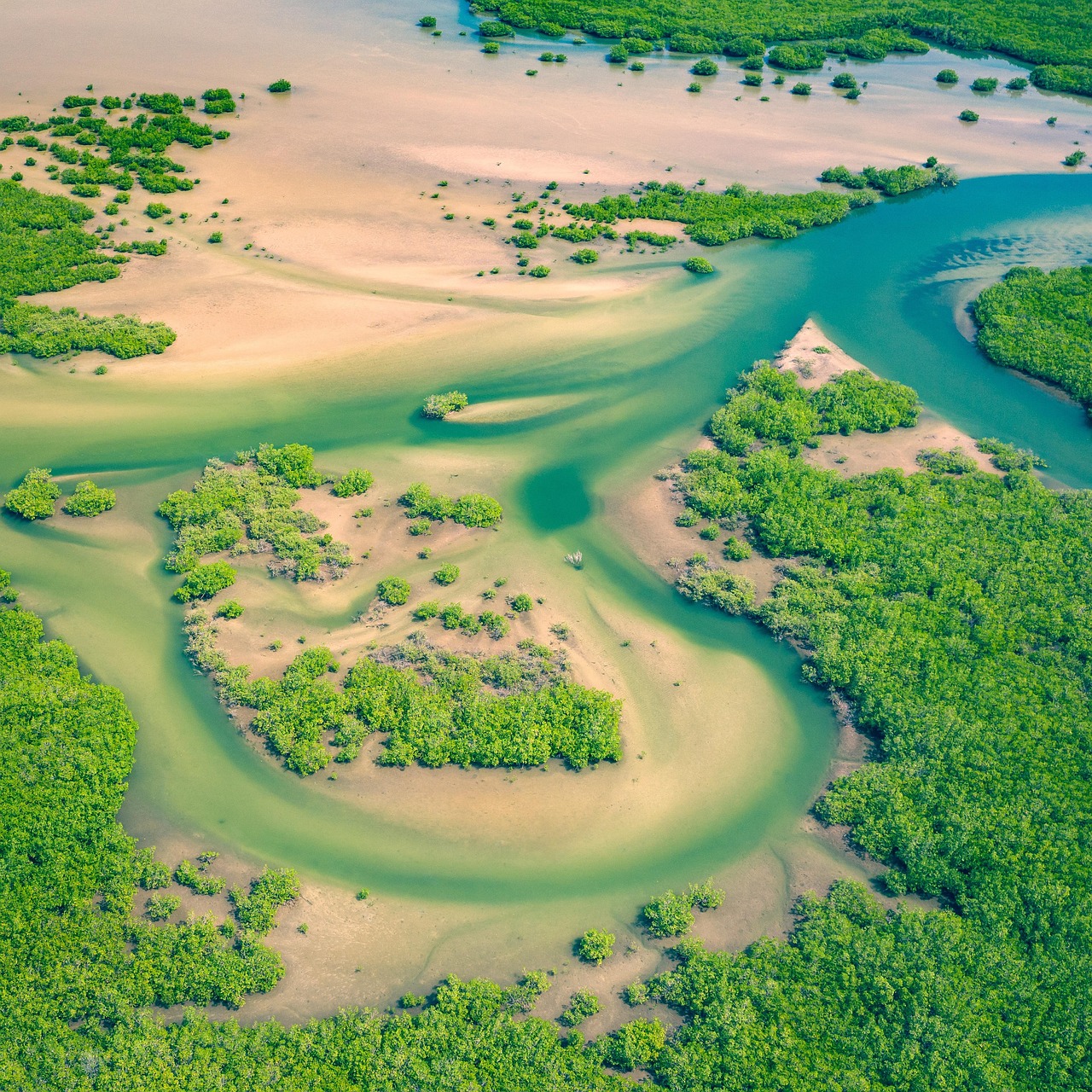 Vue aérienne des mangroves et des voies d’eau au Sénégal